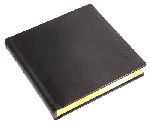 Professional-Wedding-Album-by-Regal-with-Gold-Mylar-Edges
