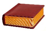 Professional Burgandy Slip In Style Wedding Photo Album