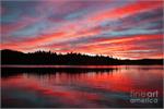 Ken's Photo Gallery 