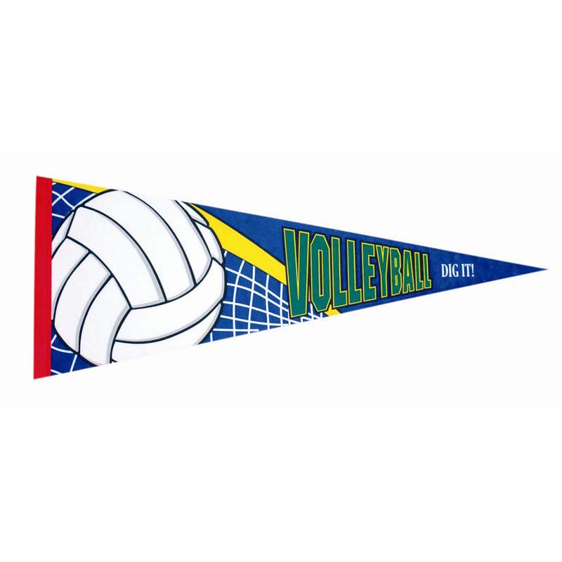 132 Volleyball Pennant for 7"x5" and 31/2"x5" Photos or 21/2"x31/2" Pictures
