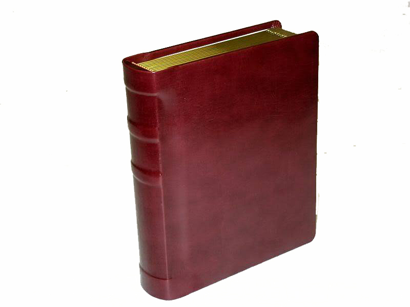 Regal 5x7 Burgundy Professional Wedding Album with Gold Mylar Edged Pages