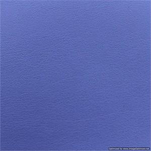 Wedding Album Renaissance Ambiance Chelsea Azure Blue Leather 10x10 or 8x8 