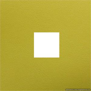 Wedding Albums Genuine Leather Renaissance Chelsea Lime 4x4 Window