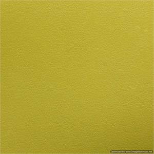 Wedding Album Renaissance Ambiance Chelsea Lime Green Leather 10x10 or 8x8 