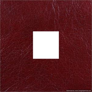 Wedding Albums Genuine Leather Renaissance Gramercy Deep Red 4x4 Window