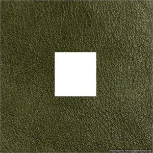 Wedding Albums Genuine Leather Renaissance Gramercy Olive 4x4 Window