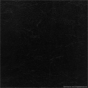 Madison Black Ambiance Renaissance Wedding Albums for Photographers