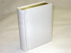 Slip-In-Professional-5x7-Wedding-Photo-Album-with-Ivory-Cover-and-Gold-Mylar-Edged-Pages