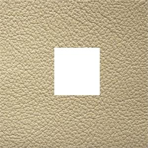Wedding Albums Genuine Leather Renaissance Tribeca Birch 4x4 Window