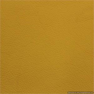 Wedding Albums Renaissance Ambiance Tribeca Canary Leather 10x10 or 8x8