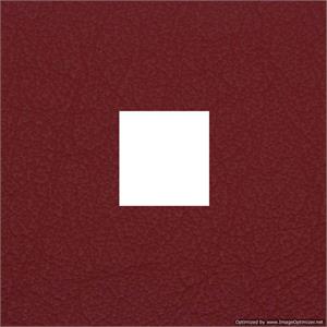 Wedding Albums Professional Renaissance Tribeca Red Cover 4x4 Window