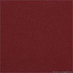 Wedding Albums Renaissance Ambiance Tribeca Red Leather 10x10 or 8x8