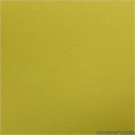 Wedding Album Renaissance Ambiance Chelsea Lime Green Leather 10x10 or 8x8 