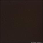 Renaissance Ambiance Brown Wedding Album 10x10 or 8x8 with NO Window
