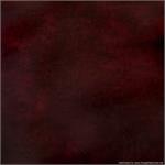 Madison Burgundy Ambiance Renaissance Wedding Albums Photographers