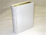 4x6-professinal-slip-in-wedding-photo-album-ivory-gold