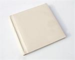 Regal Self Mount Wedding Album
