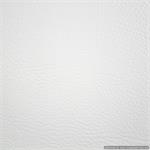 Stanton White Ambiance Renaissance Wedding Albums for Photographers