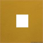 Wedding Albums Genuine Leather Renaissance Tribeca Canary 4x4 Window