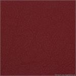 Wedding Albums Renaissance Ambiance Tribeca Red Leather 10x10 or 8x8